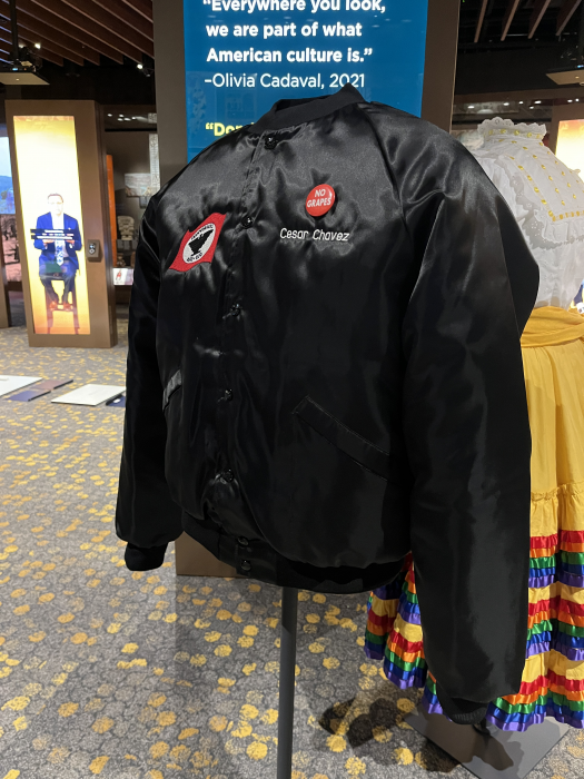 Black bomber style jacket with embroidered text that reads "Cesar Chavez", button "No Grapes" and UFW patch.