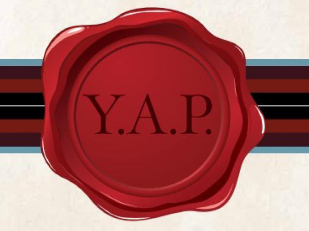 Young Ambassadors Program Seal